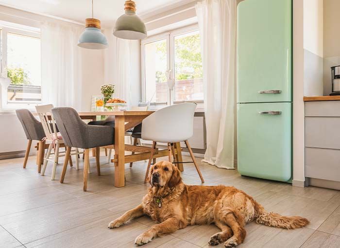 Refrigerator Repair Colorado Springs Explore These Handy Tips